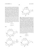 MACROCYCLIC INHIBITORS OF FLAVIVIRIDAE VIRUSES diagram and image