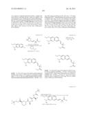 MACROCYCLIC INHIBITORS OF FLAVIVIRIDAE VIRUSES diagram and image