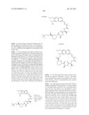 MACROCYCLIC INHIBITORS OF FLAVIVIRIDAE VIRUSES diagram and image