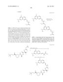 MACROCYCLIC INHIBITORS OF FLAVIVIRIDAE VIRUSES diagram and image