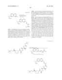 MACROCYCLIC INHIBITORS OF FLAVIVIRIDAE VIRUSES diagram and image