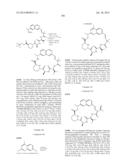 MACROCYCLIC INHIBITORS OF FLAVIVIRIDAE VIRUSES diagram and image