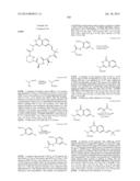 MACROCYCLIC INHIBITORS OF FLAVIVIRIDAE VIRUSES diagram and image