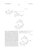 MACROCYCLIC INHIBITORS OF FLAVIVIRIDAE VIRUSES diagram and image