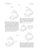 MACROCYCLIC INHIBITORS OF FLAVIVIRIDAE VIRUSES diagram and image