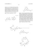 MACROCYCLIC INHIBITORS OF FLAVIVIRIDAE VIRUSES diagram and image