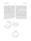 MACROCYCLIC INHIBITORS OF FLAVIVIRIDAE VIRUSES diagram and image