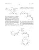 MACROCYCLIC INHIBITORS OF FLAVIVIRIDAE VIRUSES diagram and image