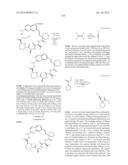 MACROCYCLIC INHIBITORS OF FLAVIVIRIDAE VIRUSES diagram and image