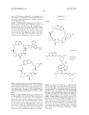 MACROCYCLIC INHIBITORS OF FLAVIVIRIDAE VIRUSES diagram and image