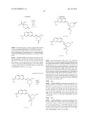 MACROCYCLIC INHIBITORS OF FLAVIVIRIDAE VIRUSES diagram and image