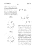 MACROCYCLIC INHIBITORS OF FLAVIVIRIDAE VIRUSES diagram and image