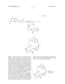 MACROCYCLIC INHIBITORS OF FLAVIVIRIDAE VIRUSES diagram and image