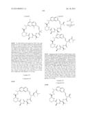 MACROCYCLIC INHIBITORS OF FLAVIVIRIDAE VIRUSES diagram and image