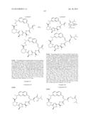 MACROCYCLIC INHIBITORS OF FLAVIVIRIDAE VIRUSES diagram and image