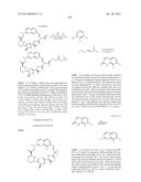 MACROCYCLIC INHIBITORS OF FLAVIVIRIDAE VIRUSES diagram and image