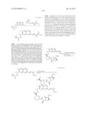 MACROCYCLIC INHIBITORS OF FLAVIVIRIDAE VIRUSES diagram and image