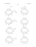 MACROCYCLIC INHIBITORS OF FLAVIVIRIDAE VIRUSES diagram and image