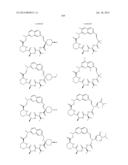 MACROCYCLIC INHIBITORS OF FLAVIVIRIDAE VIRUSES diagram and image