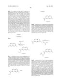 MACROCYCLIC INHIBITORS OF FLAVIVIRIDAE VIRUSES diagram and image