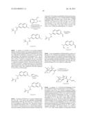 MACROCYCLIC INHIBITORS OF FLAVIVIRIDAE VIRUSES diagram and image