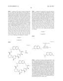 MACROCYCLIC INHIBITORS OF FLAVIVIRIDAE VIRUSES diagram and image