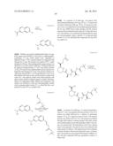 MACROCYCLIC INHIBITORS OF FLAVIVIRIDAE VIRUSES diagram and image