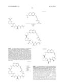 MACROCYCLIC INHIBITORS OF FLAVIVIRIDAE VIRUSES diagram and image