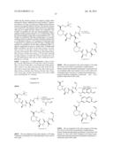 MACROCYCLIC INHIBITORS OF FLAVIVIRIDAE VIRUSES diagram and image