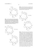 MACROCYCLIC INHIBITORS OF FLAVIVIRIDAE VIRUSES diagram and image