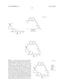 MACROCYCLIC INHIBITORS OF FLAVIVIRIDAE VIRUSES diagram and image