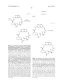 MACROCYCLIC INHIBITORS OF FLAVIVIRIDAE VIRUSES diagram and image