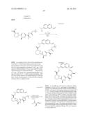 MACROCYCLIC INHIBITORS OF FLAVIVIRIDAE VIRUSES diagram and image