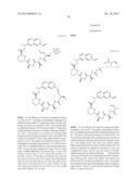 MACROCYCLIC INHIBITORS OF FLAVIVIRIDAE VIRUSES diagram and image