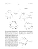 MACROCYCLIC INHIBITORS OF FLAVIVIRIDAE VIRUSES diagram and image