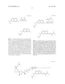 MACROCYCLIC INHIBITORS OF FLAVIVIRIDAE VIRUSES diagram and image