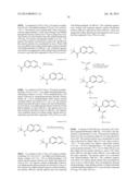 MACROCYCLIC INHIBITORS OF FLAVIVIRIDAE VIRUSES diagram and image