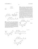 MACROCYCLIC INHIBITORS OF FLAVIVIRIDAE VIRUSES diagram and image