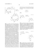 MACROCYCLIC INHIBITORS OF FLAVIVIRIDAE VIRUSES diagram and image