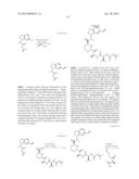 MACROCYCLIC INHIBITORS OF FLAVIVIRIDAE VIRUSES diagram and image