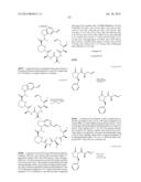 MACROCYCLIC INHIBITORS OF FLAVIVIRIDAE VIRUSES diagram and image