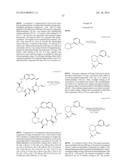 MACROCYCLIC INHIBITORS OF FLAVIVIRIDAE VIRUSES diagram and image