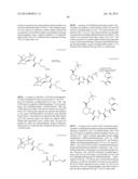 MACROCYCLIC INHIBITORS OF FLAVIVIRIDAE VIRUSES diagram and image