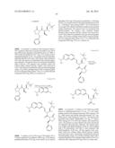 MACROCYCLIC INHIBITORS OF FLAVIVIRIDAE VIRUSES diagram and image