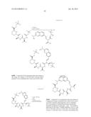 MACROCYCLIC INHIBITORS OF FLAVIVIRIDAE VIRUSES diagram and image