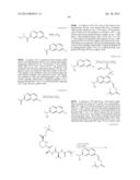 MACROCYCLIC INHIBITORS OF FLAVIVIRIDAE VIRUSES diagram and image