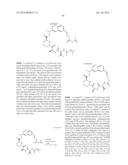 MACROCYCLIC INHIBITORS OF FLAVIVIRIDAE VIRUSES diagram and image