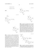 MACROCYCLIC INHIBITORS OF FLAVIVIRIDAE VIRUSES diagram and image