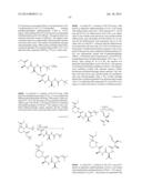 MACROCYCLIC INHIBITORS OF FLAVIVIRIDAE VIRUSES diagram and image