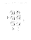 METHODS AND COMPOSITIONS TO ELIMINATE CHRONIC LYMPHOCYTIC LEUKEMIA AND     OTHER HEMATOLOGIC MALIGNANT CELLS IN STROMAL MICROENVIRONMENT FOR CANCER     THERAPY diagram and image